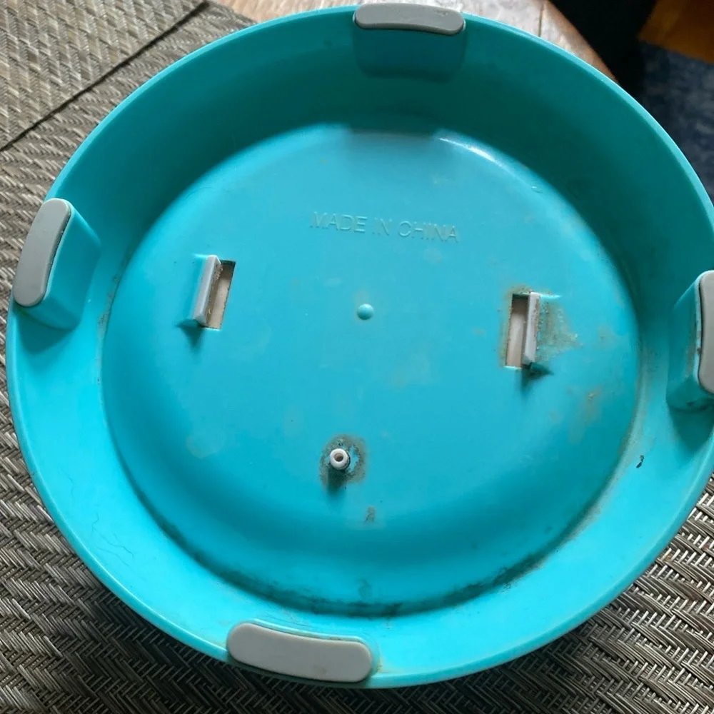 Stainless Steel Cat Ear Removable Bowl w/ Elevated Blue Base, Skid proof Design